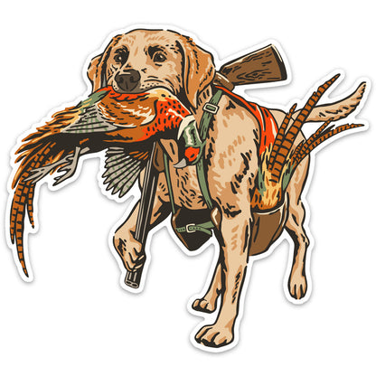 |Yellow Labrador Retriever