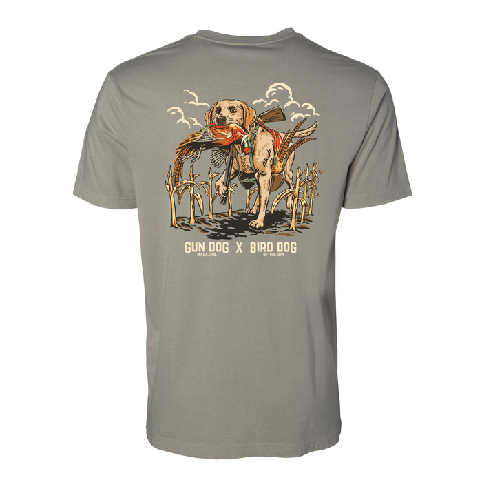 Yellow Labrador Retriever / Salt Flat / XS