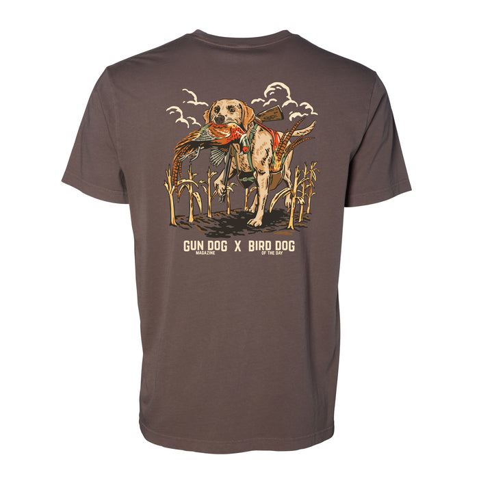 Yellow Labrador Retriever / Mudflat / XS