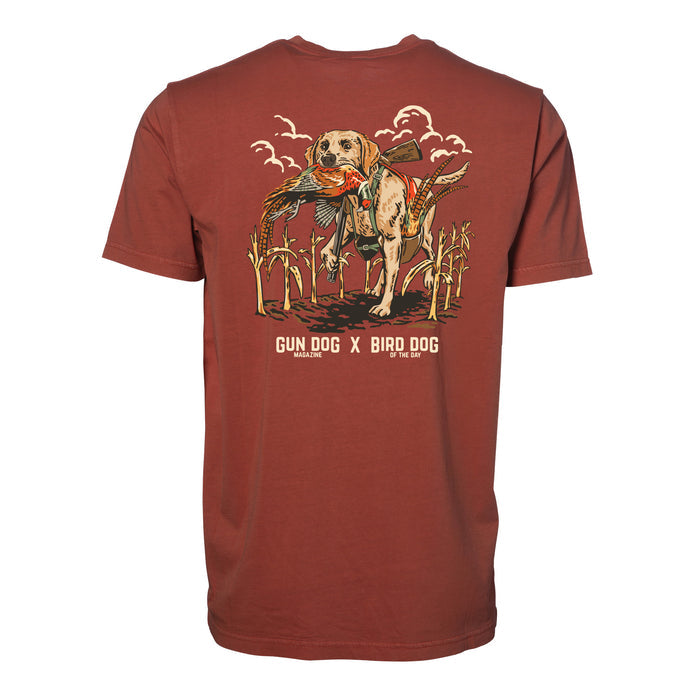 Yellow Labrador Retriever / Red Clay / XS
