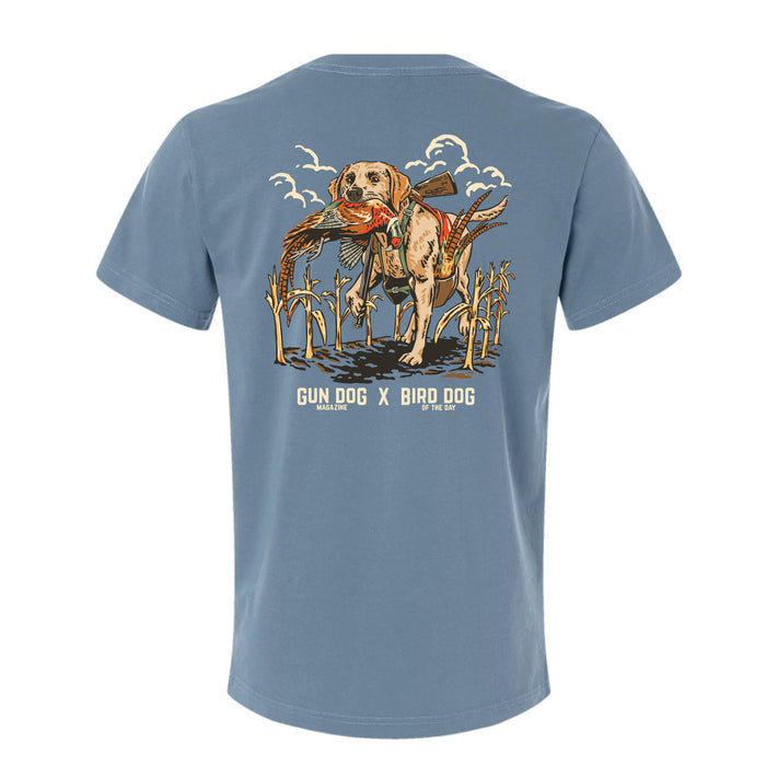Yellow Labrador Retriever / Tailwater / XS