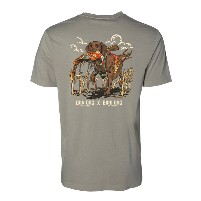 Chocolate Labrador Retriever / Salt Flat / XS