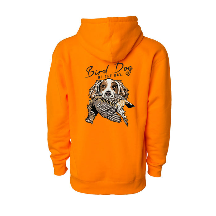 English Setter with a Ruffed Grouse / Blaze Orange / XS