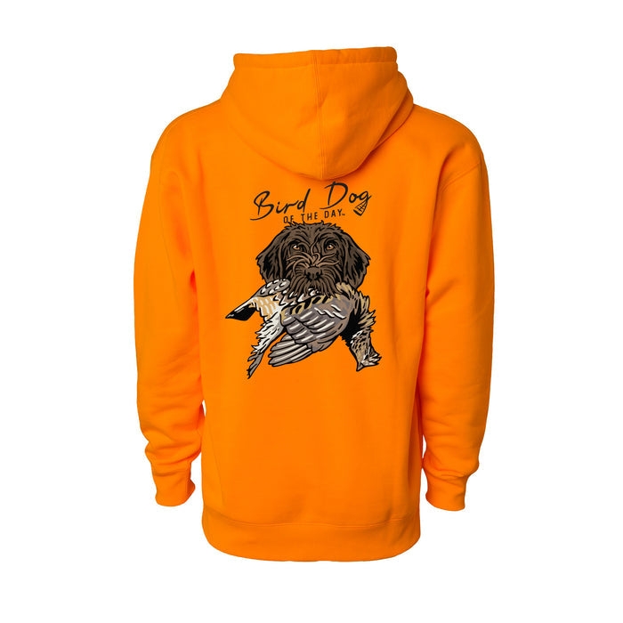 Wirehaired Pointing Griffon with a Ruffed Grouse / Blaze Orange / XS