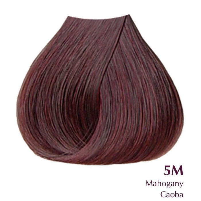 Mahogany Series HairArt Int'l Inc.