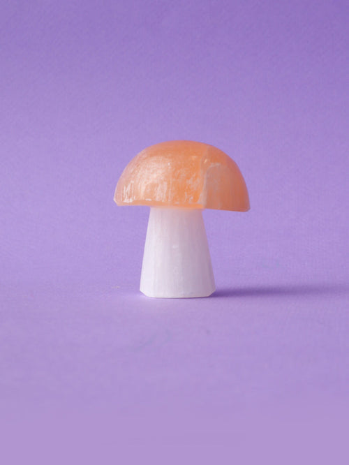 Selenite Mushroom | One Colour-Image 1