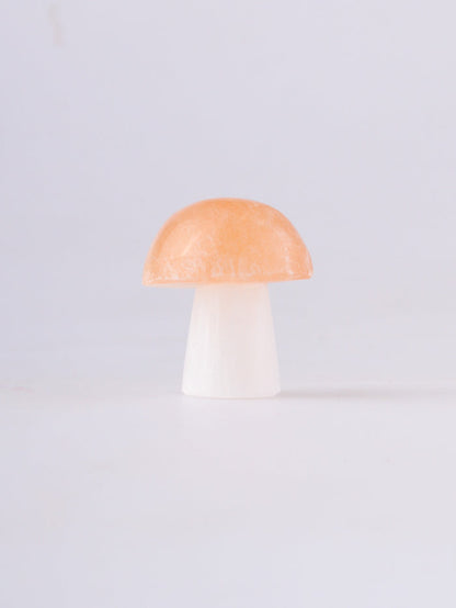 Selenite Mushroom | One Colour-Image 2