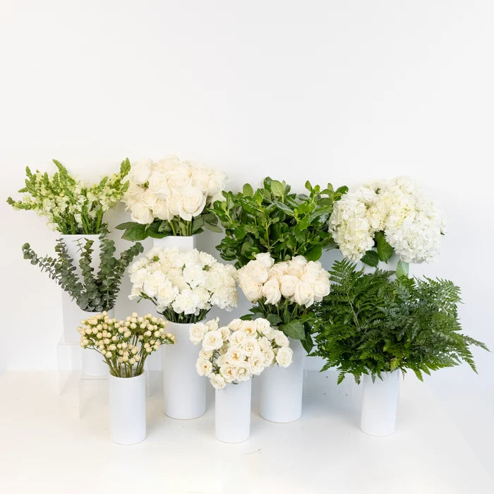 Snow White Diy Flower Kit Close Up - Image