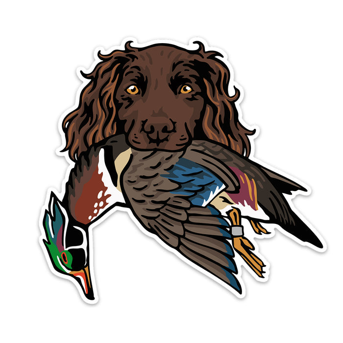 |Boykin with a Wood Duck
