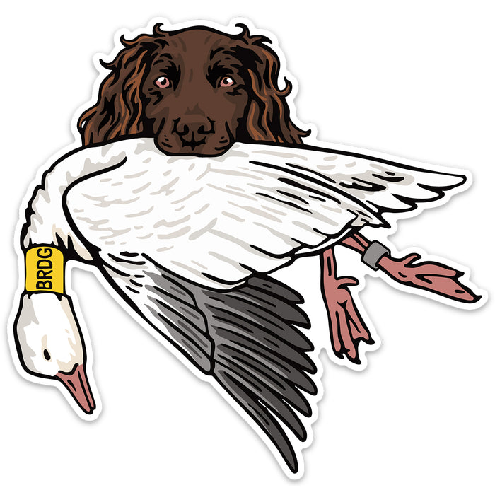 |Boykin with a Snow Goose