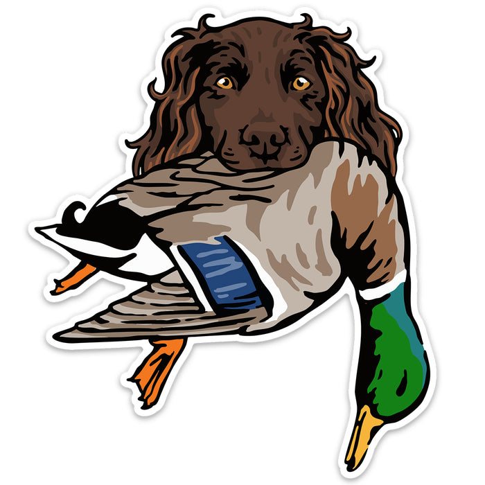|Boykin with a Mallard