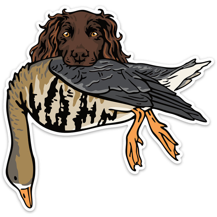 |Boykin with a Specklebelly Goose