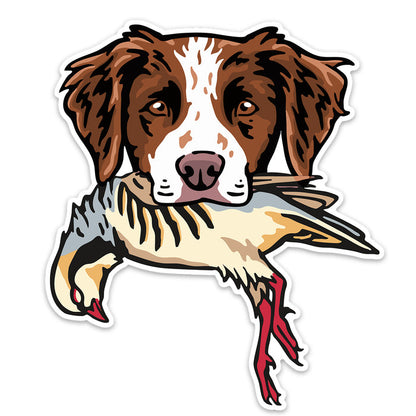 |Brittany with a Chukar