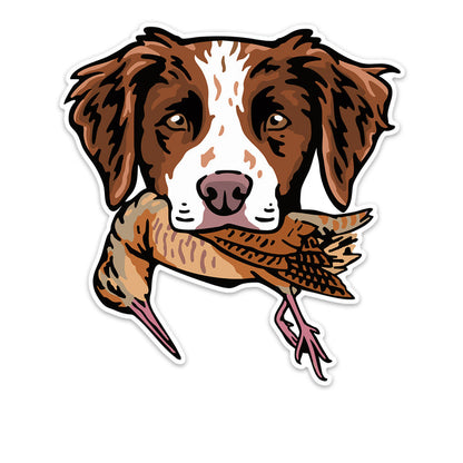 |Brittany with a Woodcock