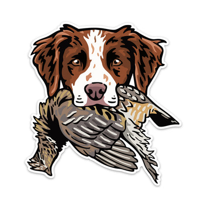 |Brittany with a Ruffed Grouse