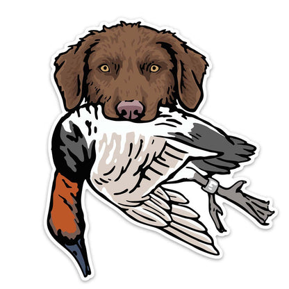 |Brown Chessie