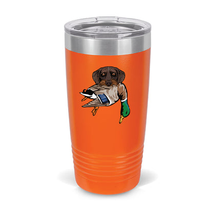 Blaze Orange / Drahthaar with a Mallard