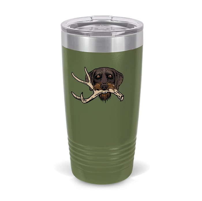 Olive / Drahthaar with a Shed Antler