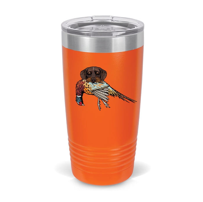 Blaze Orange / Drahthaar with a Pheasant