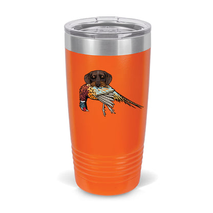 Blaze Orange / Drahthaar with a Pheasant