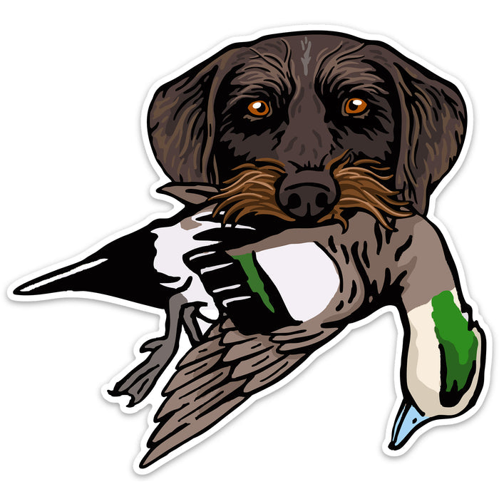 Drahthaar with a Wigeon