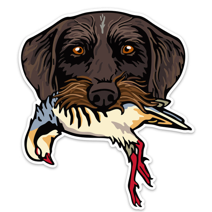 |Drahthaar with a Chukar