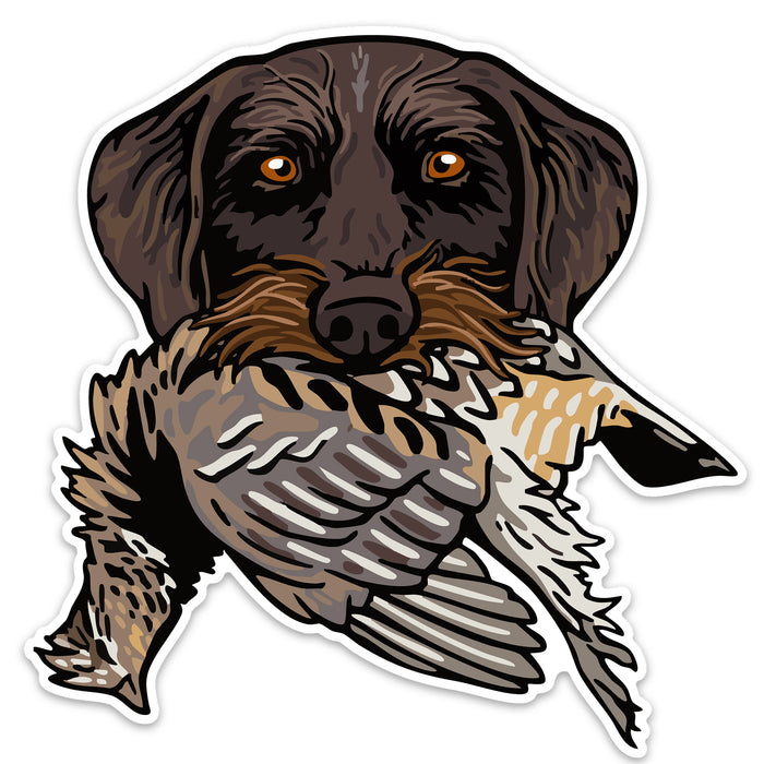|Drahthaar with a Ruffed Grouse