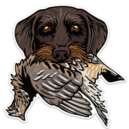 |Drahthaar with a Ruffed Grouse