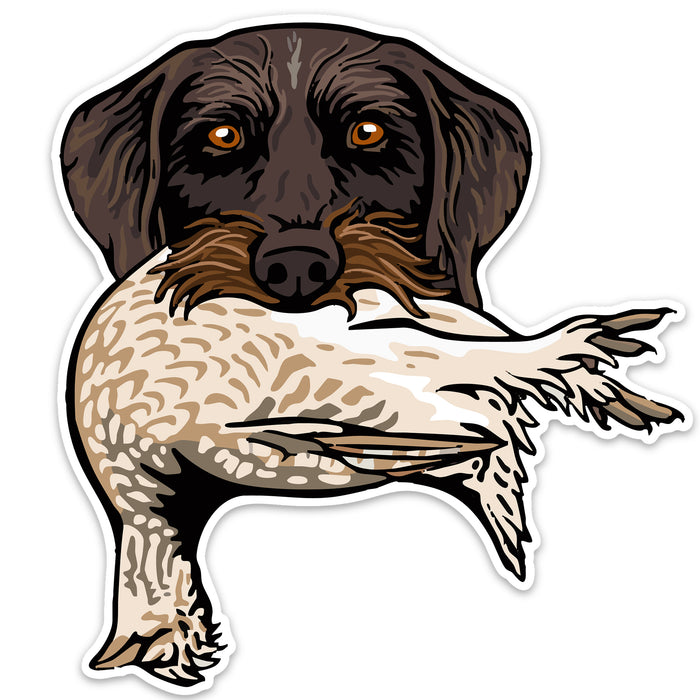 Drahthaar with a Sharp-Tailed Grouse