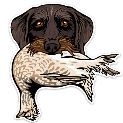 Drahthaar with a Sharp-Tailed Grouse