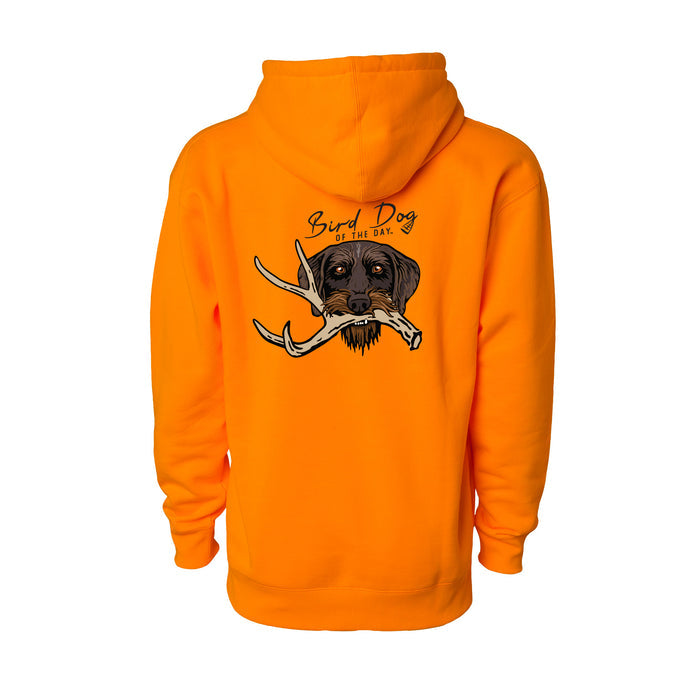 Drahthaar with a Shed Antler / Blaze Orange / XS