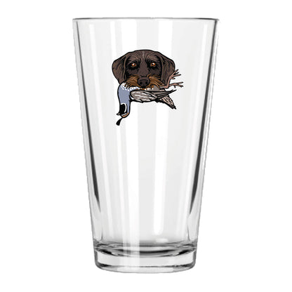 |Drahthaar with a California Quail