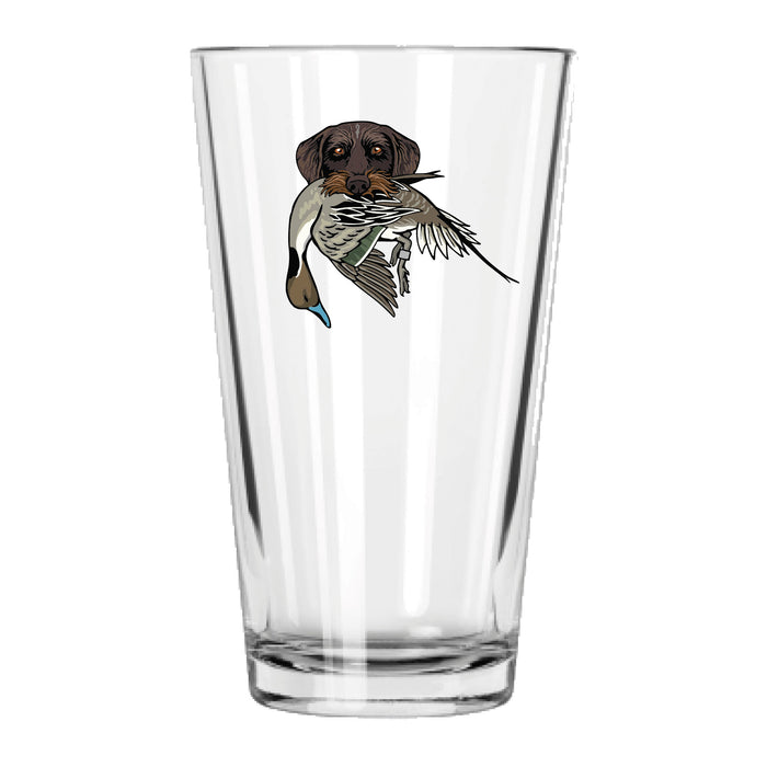 |Drahthaar with a Pintail