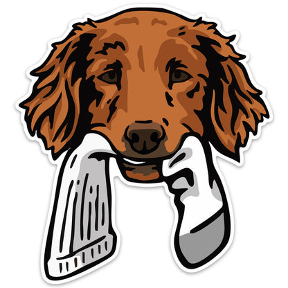 |Golden Retriever with a Sock
