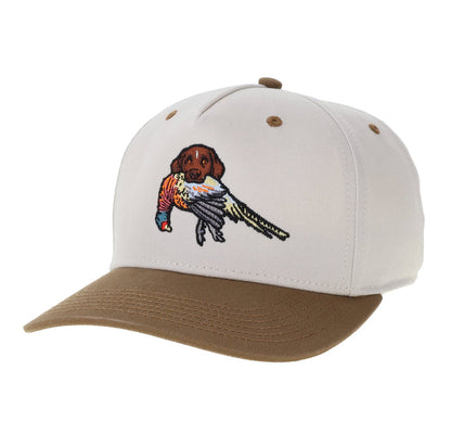 The GSP Bird Dog Hat