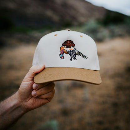 The GSP Bird Dog Hat