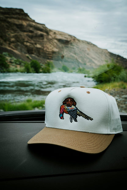 The GSP Bird Dog Hat