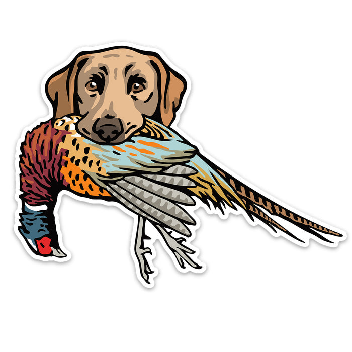 Yellow with a Pheasant