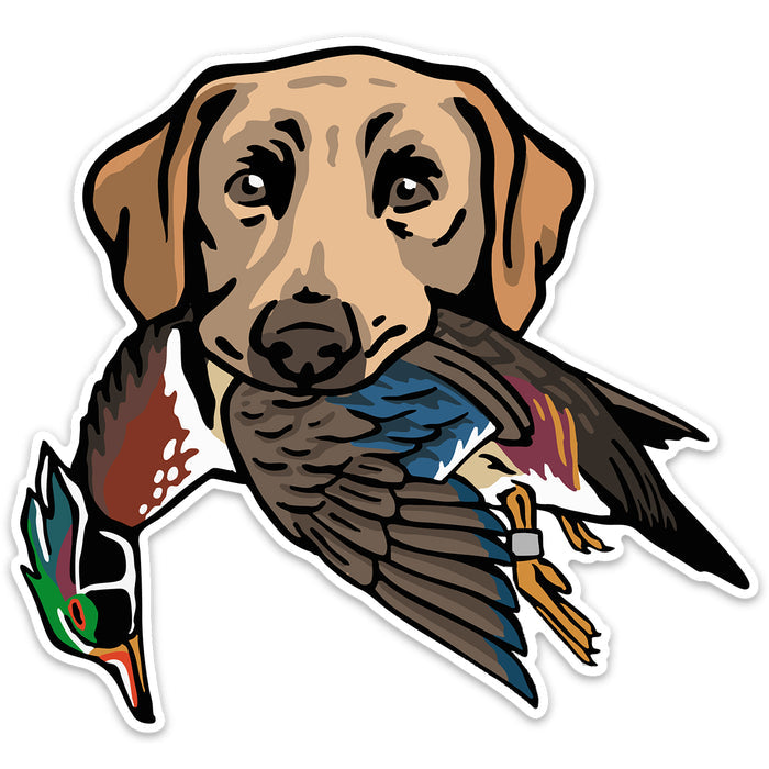 Yellow Lab with a Wood Duck