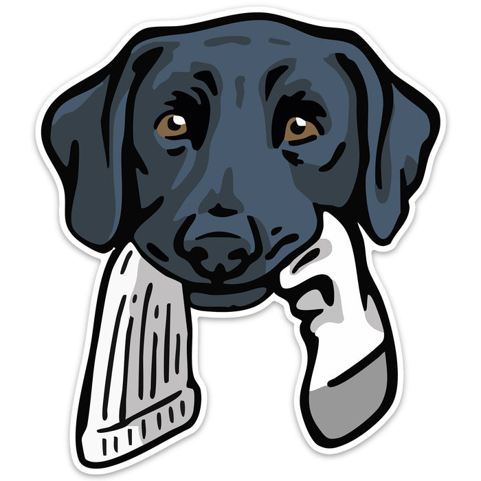 |Black Lab with a Sock