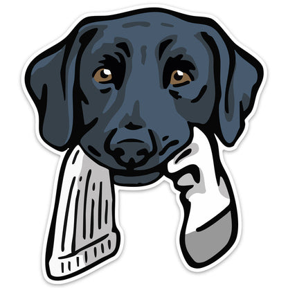 |Black Lab with a Sock