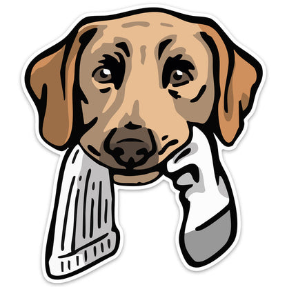 Yellow Lab with a Sock