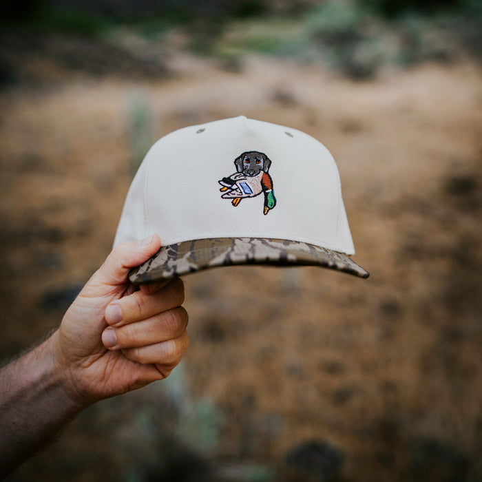 The Labrador Retriever Bird Dog Hat