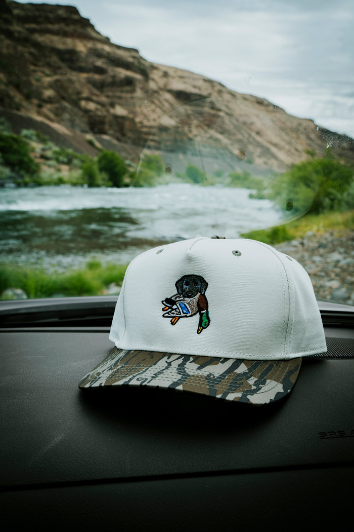 The Labrador Retriever Bird Dog Hat
