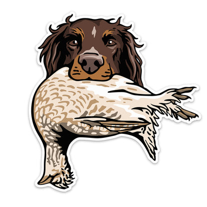 |Picardy with a Sharp-Tailed Grouse