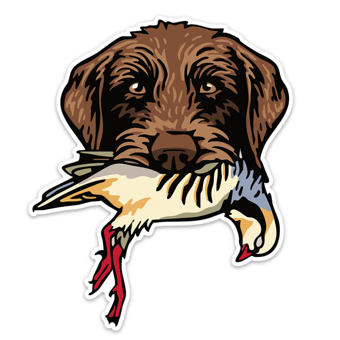 |Pudelpointer with a Chukar