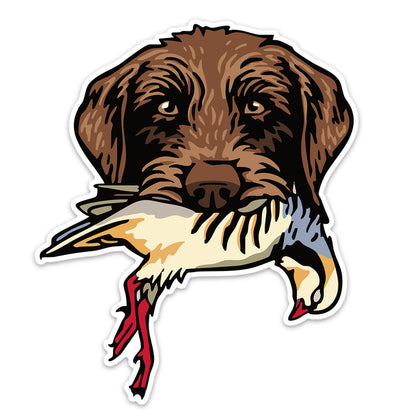 |Pudelpointer with a Chukar