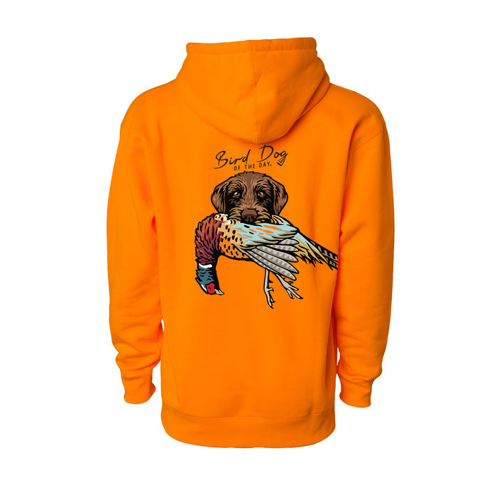 Pudelpointer with a Pheasant / Blaze Orange / XS