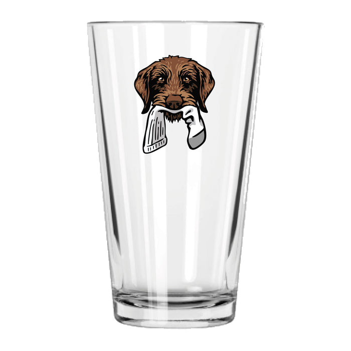 Pudelpointer with a Sock