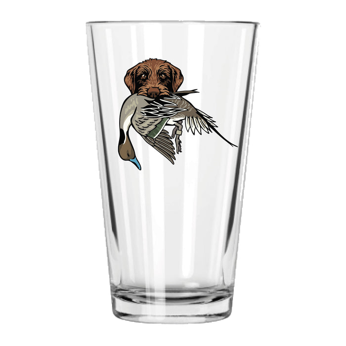 |Pudelpointer with a Pintail